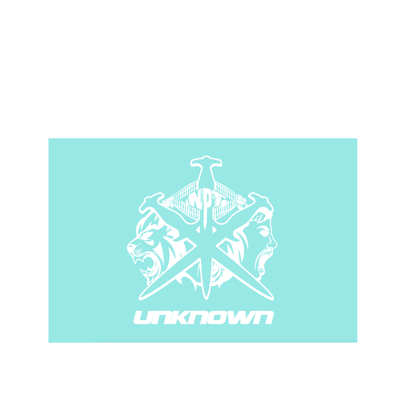 Simba La Rue NPT Flag featuring lion and sword designs on a light blue background with the word 'UNKNOWN'.