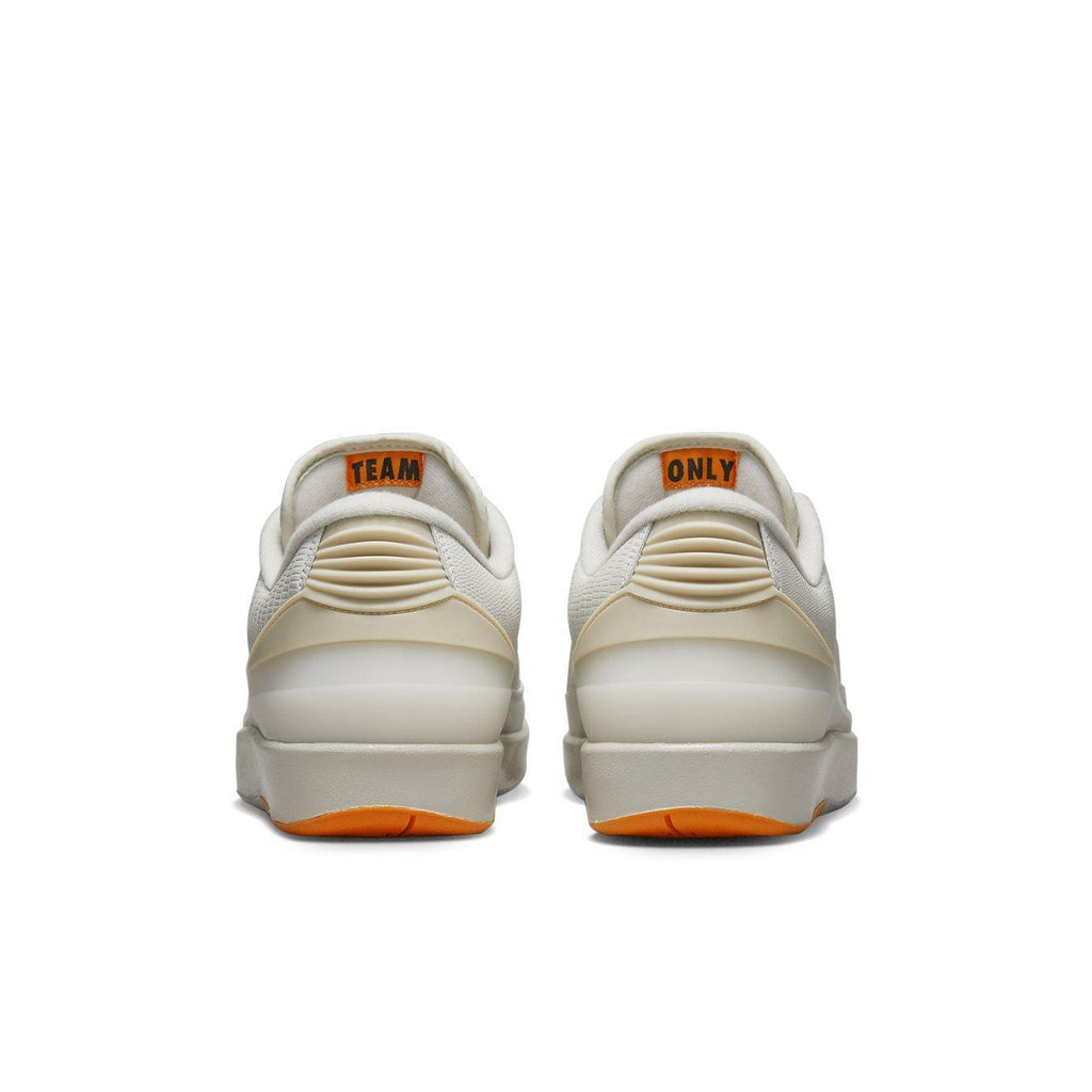 Back view of Jordan 2 Retro Low Shelflife sneakers showcasing Team Only branding and a sleek design.
